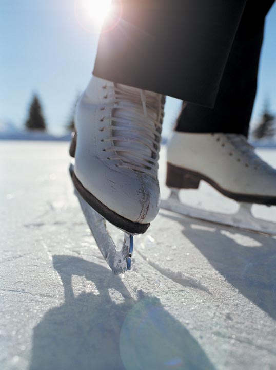 I've been wanting to take my boys ice skating this Winter, and I've never been to Steinberg Skating Rink in Forest Park, so this weekend I plan to do both.