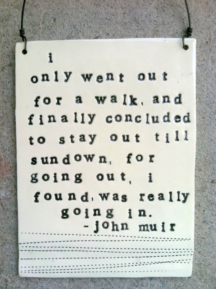 JohnMuir