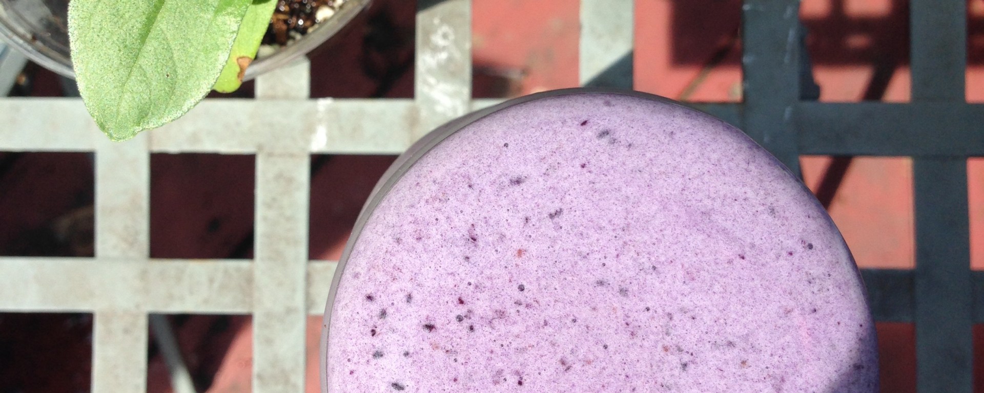 Wild Blueberry Smoothie