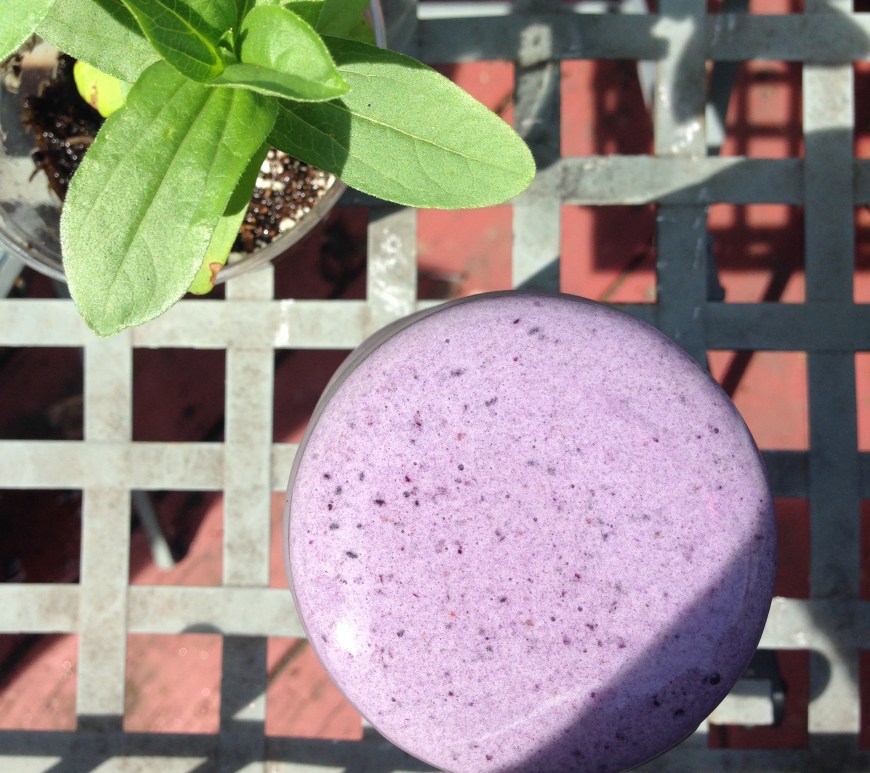 Wild Blueberry Smoothie