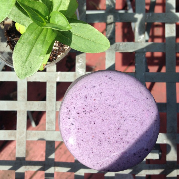 Wild Blueberry Smoothie